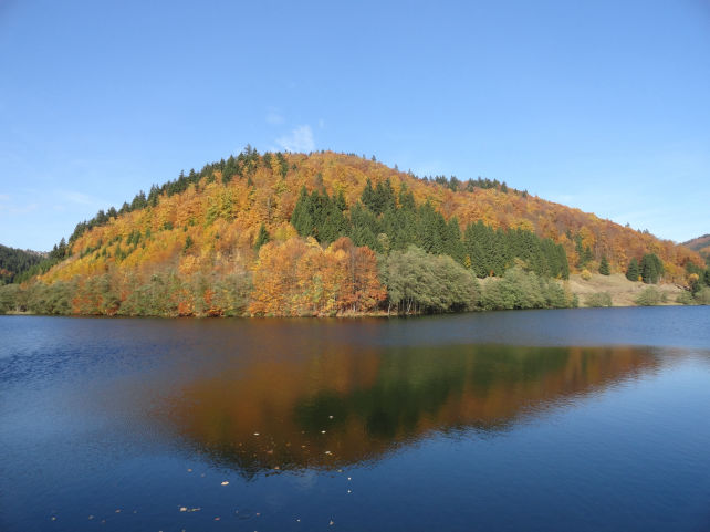 Talsperre Schönbrunn