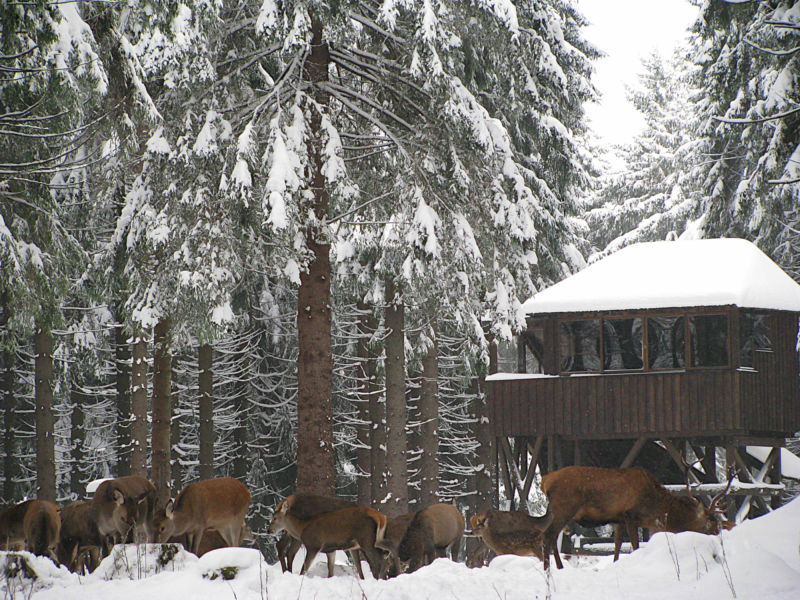 Beobachtungspunkt im Winter